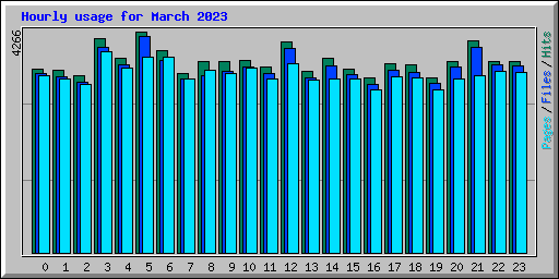 Hourly usage for March 2023