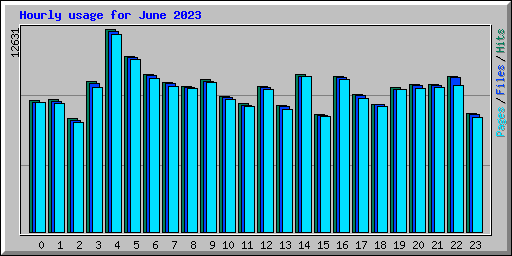 Hourly usage for June 2023
