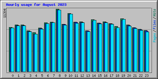 Hourly usage for August 2023
