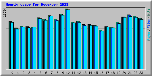 Hourly usage for November 2023