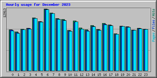 Hourly usage for December 2023