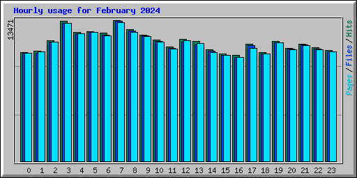 Hourly usage for February 2024