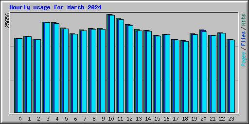 Hourly usage for March 2024