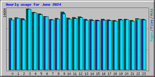 Hourly usage for June 2024