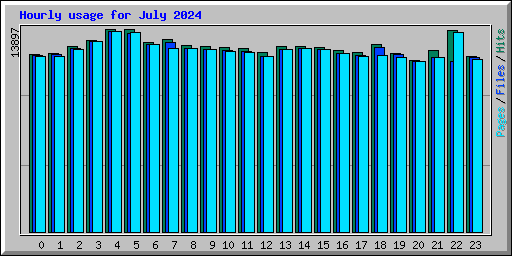 Hourly usage for July 2024