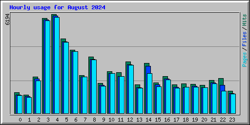 Hourly usage for August 2024