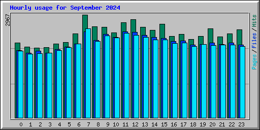 Hourly usage for September 2024