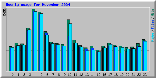 Hourly usage for November 2024